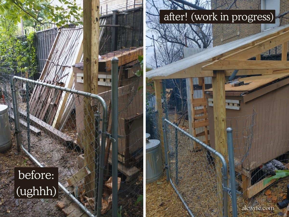 before and after photo of previous chicken coop setup and the improved version with a larger covered area.