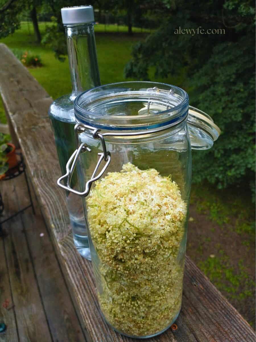 an open jar of elderflowers and a tall bottle of vodka about to be poured over the flowers.