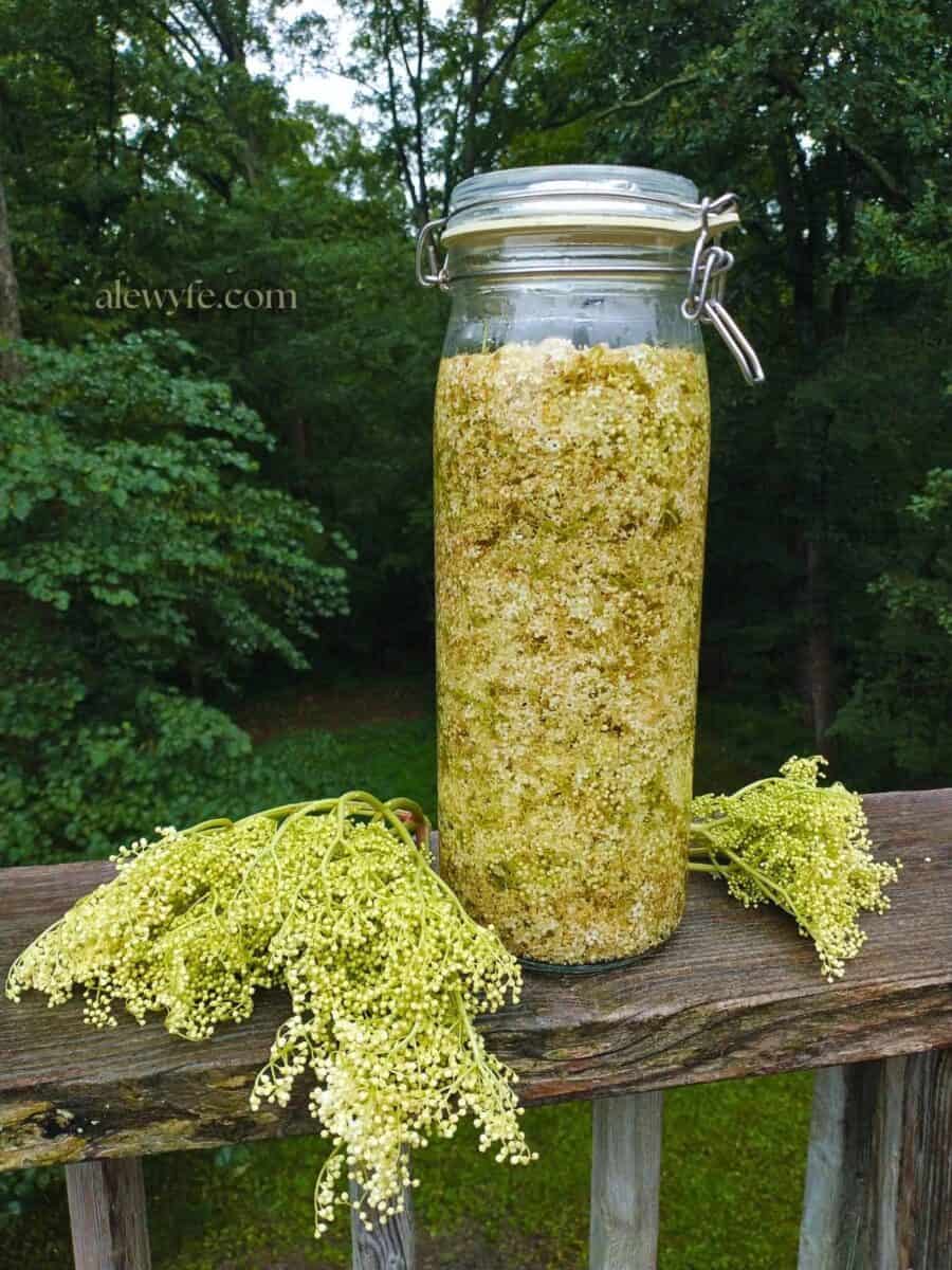 side view of a tall wire-bail top jar filled with elderflowers and vodka against a background of green woods. 
