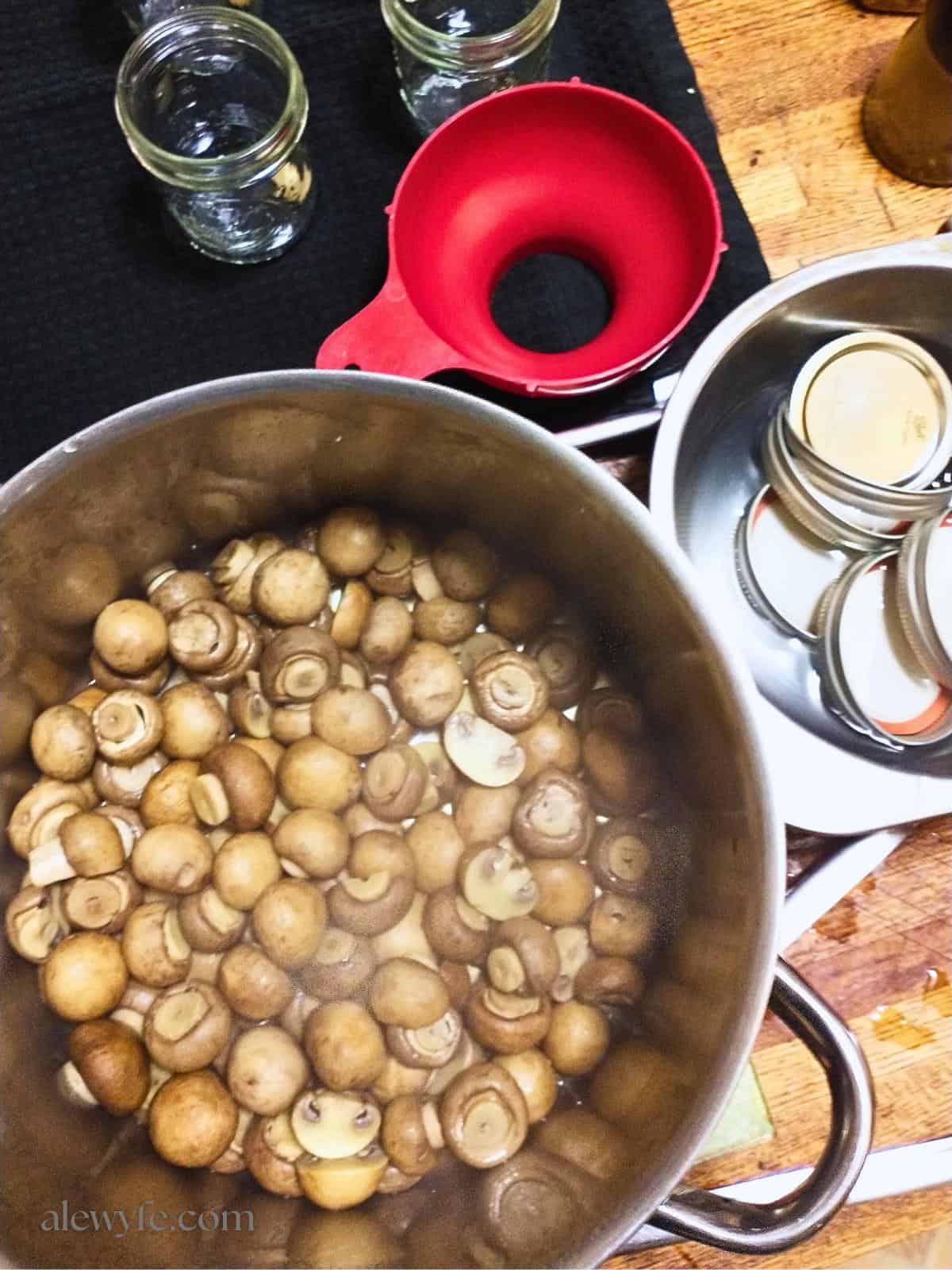 poached mushrooms ready to pickle and can.