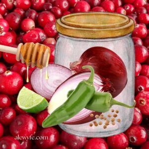 a photo collage with cranberry salsa ingredients and a drawing of a canning jar.