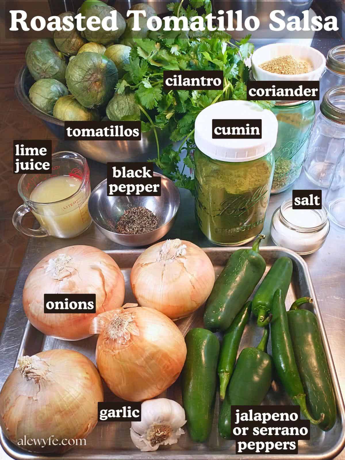 labeled ingredient photo of roasted tomatillo salsa recipe. 