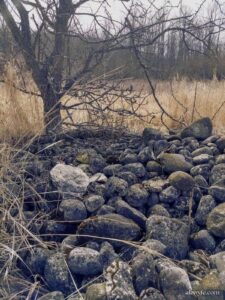 a rubble pile of rounded glacial till stones in a grassy field. 