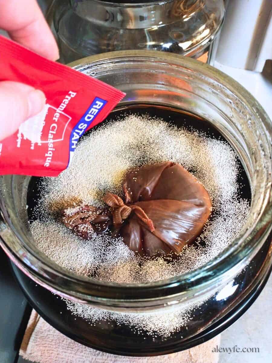 pouring a packet of dry wine yeast into a fermenting jar filled with elderberry wine must.