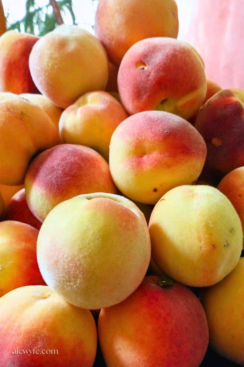 a pile of freshly picked peaches. 
