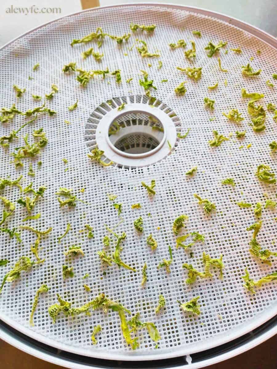 food dehydrator tray with dried celery slices.