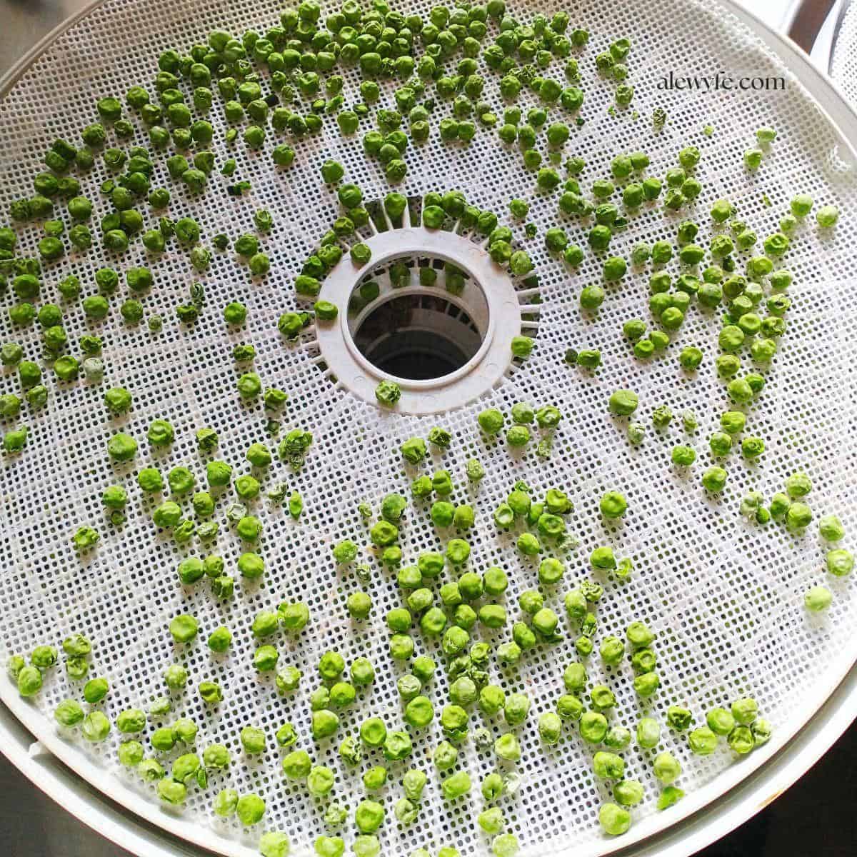 a tray of dehydrated peas.
