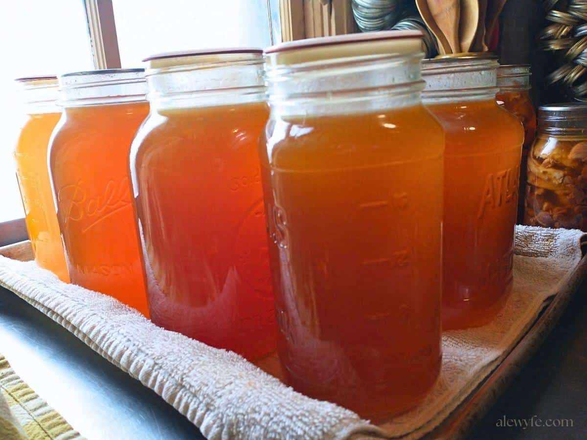 mason jars of freshly canned homemade turkey stock cooling on a tray in a sunlit window.
