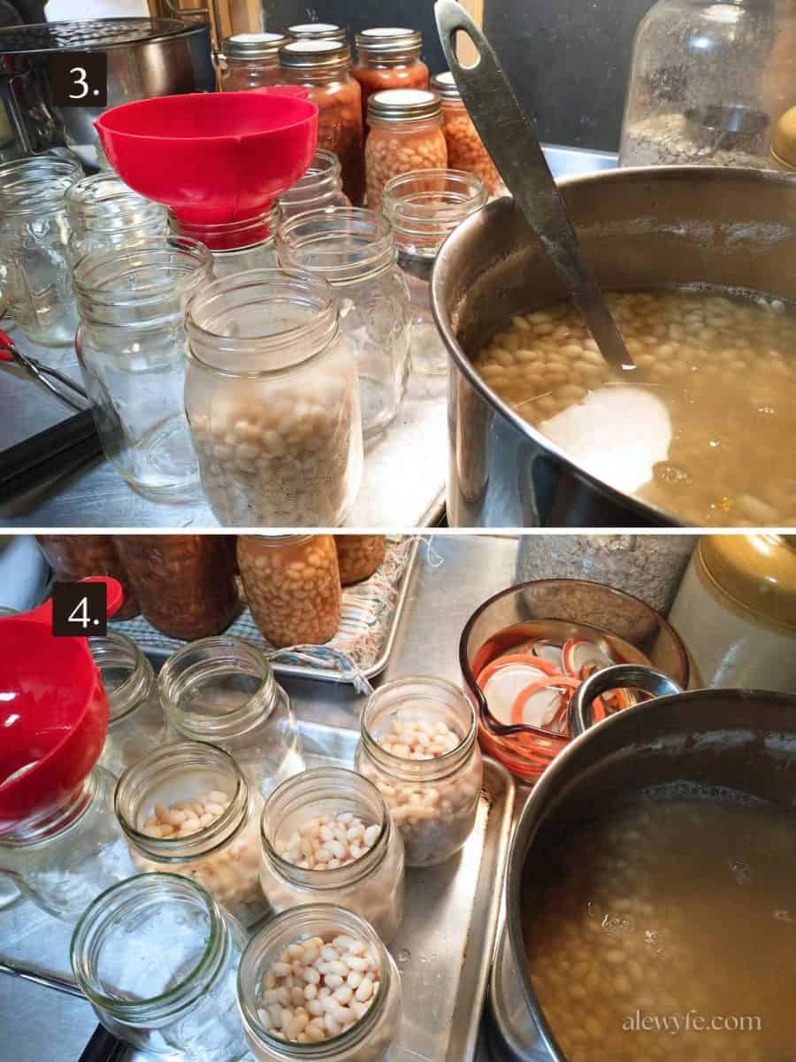 filling pint jars 3/4 full of simmered navy beans to can.