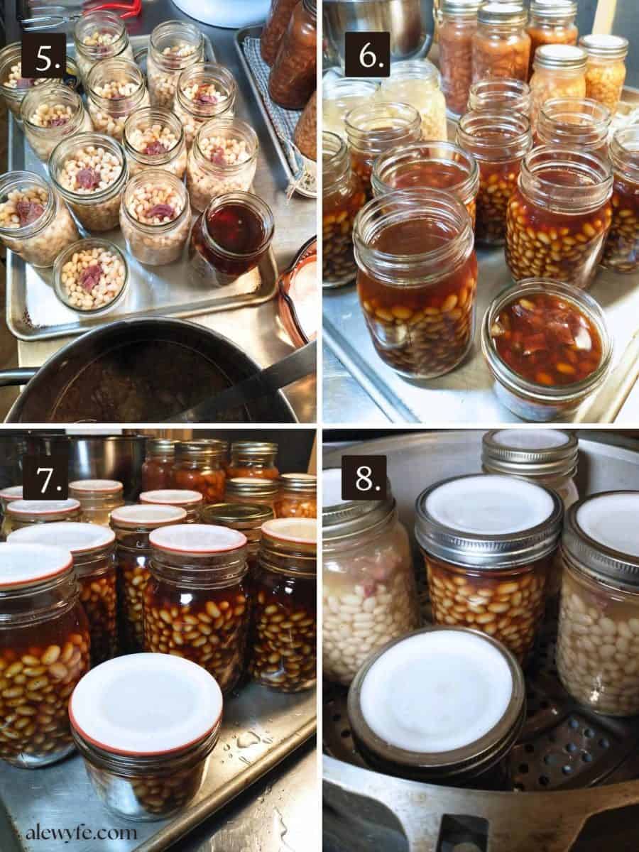 adding cubes of ham to the bean jars, then topping up with molasses sauce, adding canning lids, and processing them in a pressure canner.