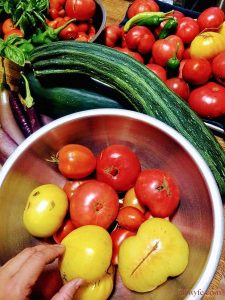 a wooden table covered in bowls and trays of garden-fresh tomatoes of all colors, plus squash, peppers, eggplants, and basil.