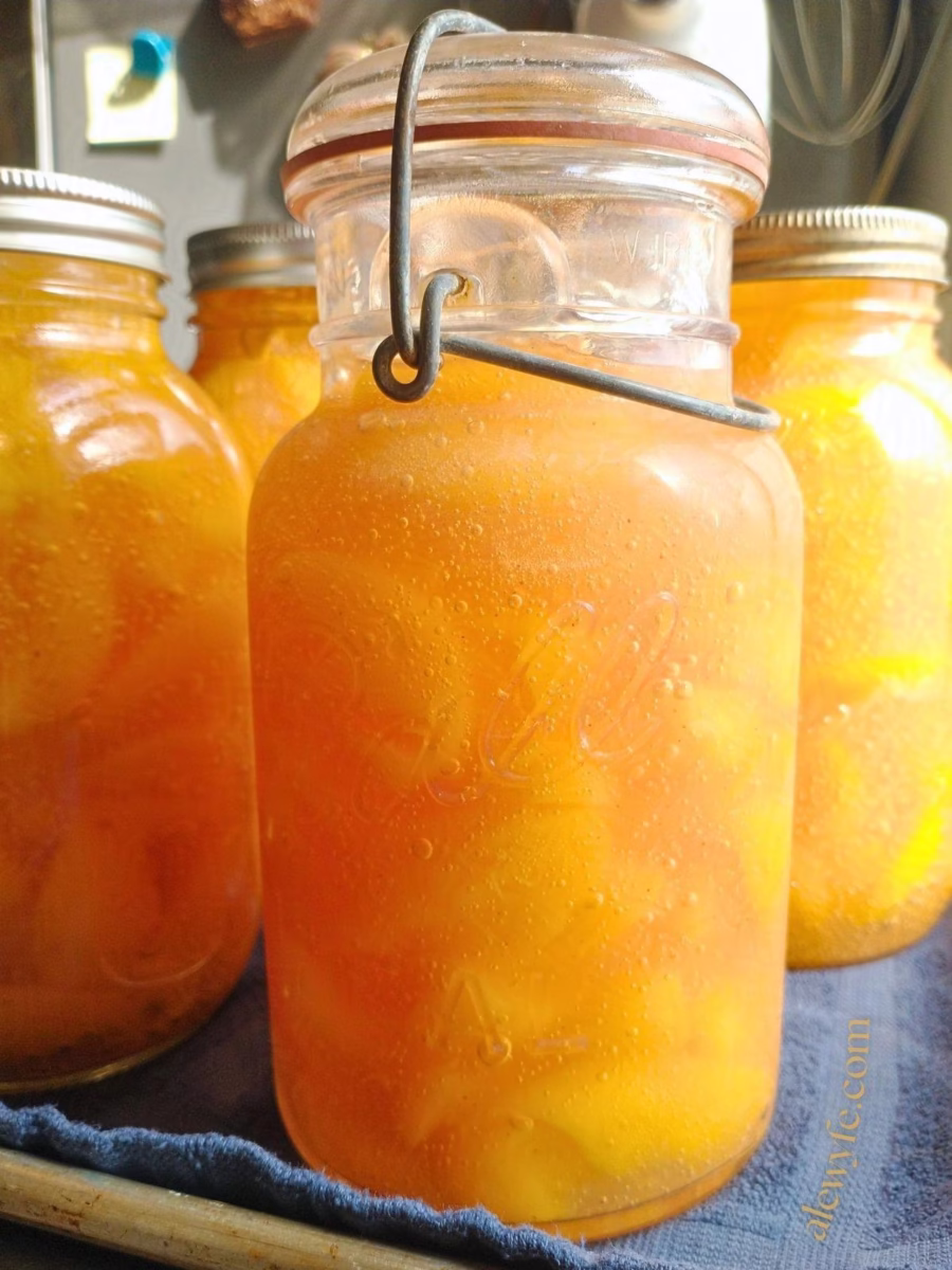 an antique canning jar and regular canning jars, all filled with peach pie filling.