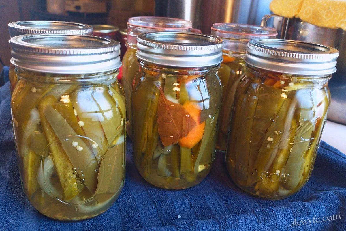 a tray with jars of jalapeno carrot pickles cooling on a kitchen towel.
