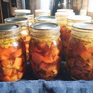 pint jars of hearty chicken stew lined up on a sheet pan lined with a blue towel.