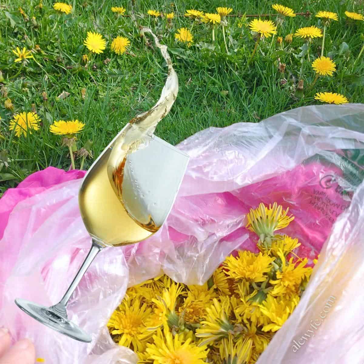 BREW: Homemade Dandelion Wine