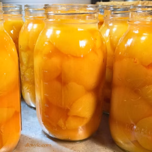 close-up photo of jars of fresh peach halves packed in syrup and ready to can.