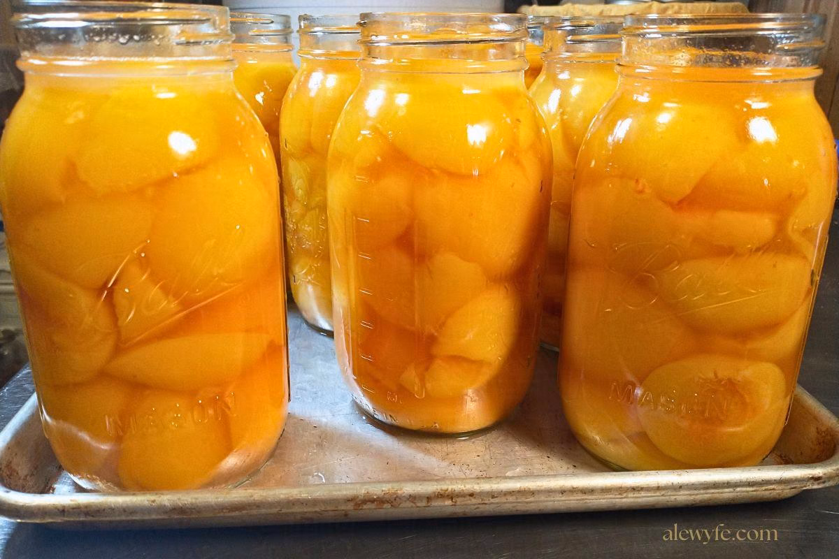 canning jars of peach halves topped up with hot simple syrup and ready for canning lids.