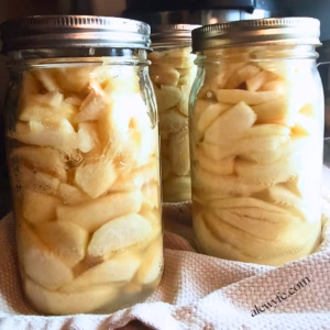 several quart jars of canned apple slices for baking.