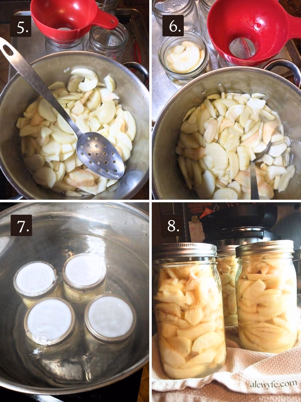 numbered steps five through eight for canning apple slices: scooping poached apples from syrup, filling jars & topping up with syrup, water bath canning, and cooling the jars.