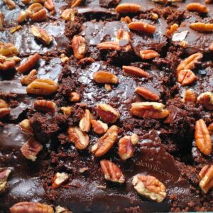 close-up photo of the sliced buttermilk chocolate sheet cake with fudge frosting and pecans.